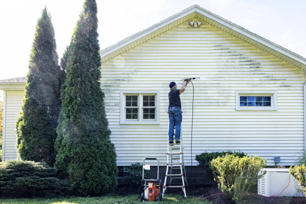 Best House Exterior Washing  in Oswego, KS